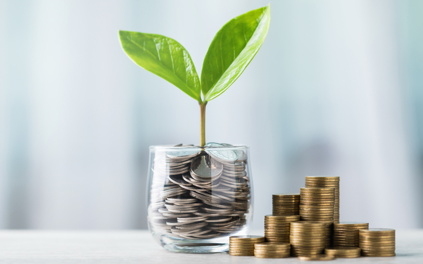 A small plant with green leaves grows from a glass cup filled with coins, next to stacks of coins on a smooth surface. The background is softly blurred.